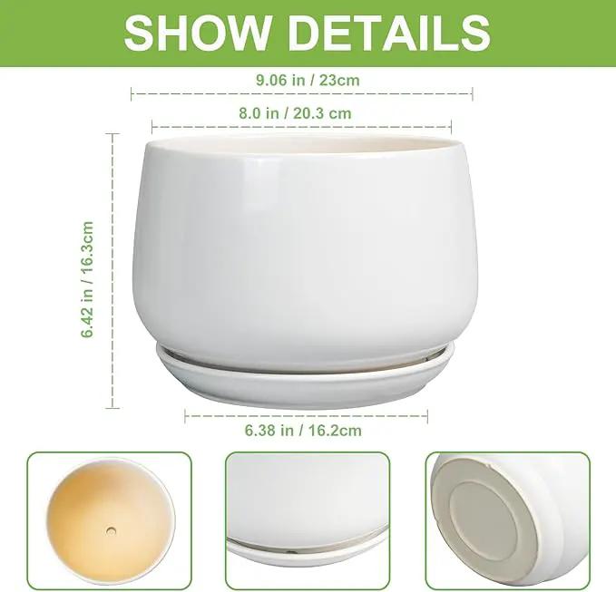 G EPGardening Ceramic Planter 9 Inch - Plant Pots with Drainage and Ceramic Saucer, Flower Pots for Indoor Plants, Modern Outdoor Planter, Living Room Decor, Gifts for Plant Lovers, White by GreenHaven Gardens