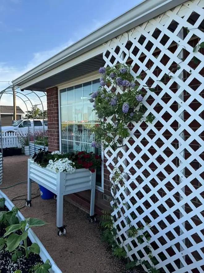 A ANLEOLIFE Galvanized Raised Garden Bed with Legs,48x24x35in Large Elevated Planter Box on Wheels with Drainage Holes for Backyard, Balcony, Patio, 600lb Capacity, Antique White by GreenHaven Gardens