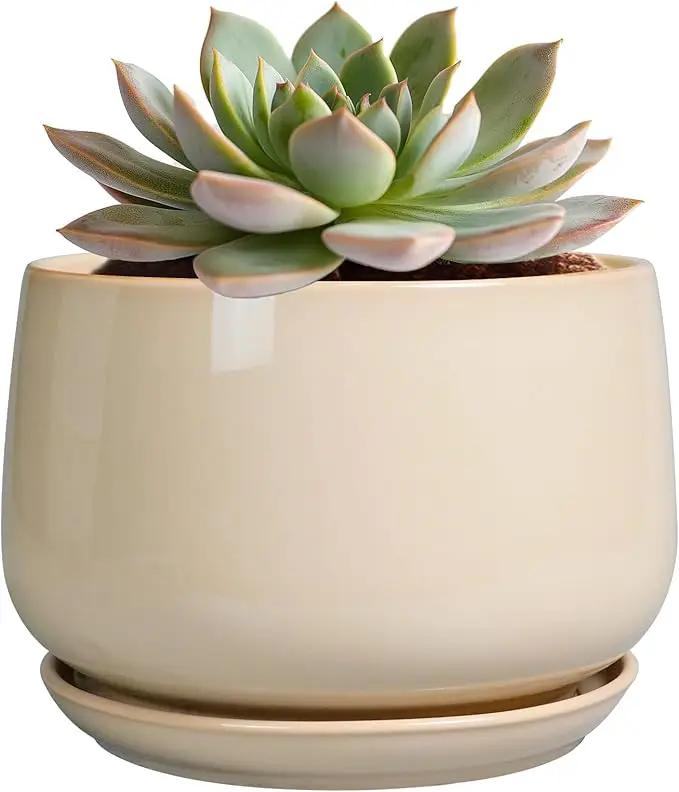 G EPGardening Ceramic Pot for Plants - 6 Inch Planter with Drainage and Ceramic Saucer, Flower Pots for Indoor Plants, Modern Outdoor Planter, Home Decor, Gift for Women Men, Beige by GreenHaven Gardens