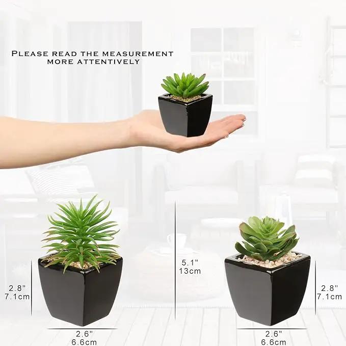 Hollyone Small Succulents Artificial 3 Pcs Faux Succulents in Pots Fake Succulent Plants with Black Ceramic Pots for Modern Home Office Desk Bathroom Shelf Living Room Decor by GreenHaven Gardens