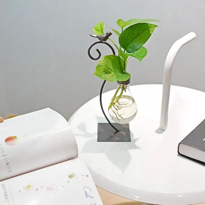 Marbrasse Desktop Glass Planter Hydroponics Vase,Planter Bulb Vase with Holder for Home Decoration,Modern Creative Bird Plant Terrarium Stand, Scindapsus Container (Bulb Vase) by GreenHaven Gardens