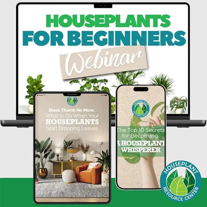 Stainless Steel Watering Can for Houseplants by Houseplant Resource Center | 1L Capacity for Indoor/Outdoor Plants in Brushed Gold by GreenHaven Gardens