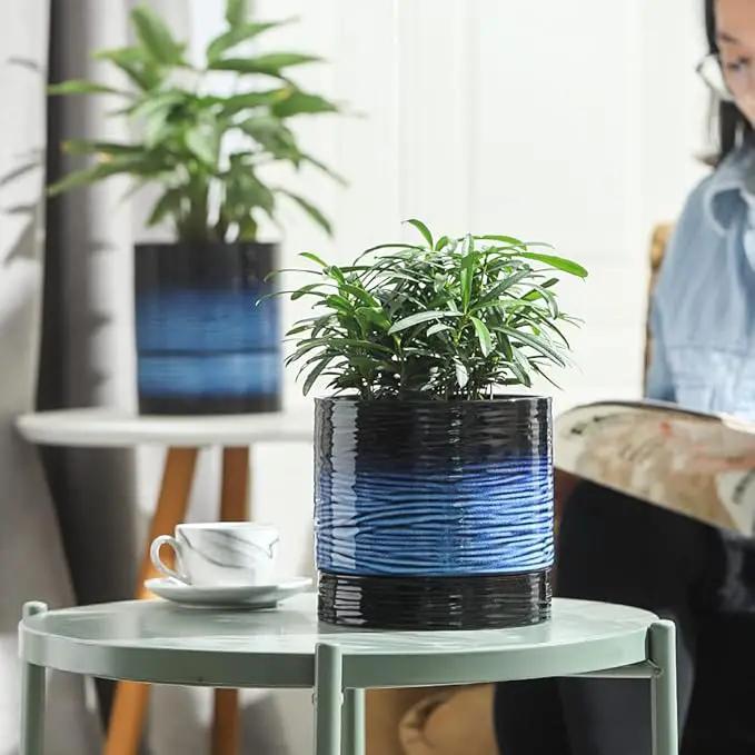 Nihow Ceramic Plant Pot: 6 Inch Planter with Drainage Hole & Saucer for Indoor & Outdoor Plants - Cylinder Round Flower Pot for Succulent/Herbs/Violets - Black & Vivid Blue by GreenHaven Gardens
