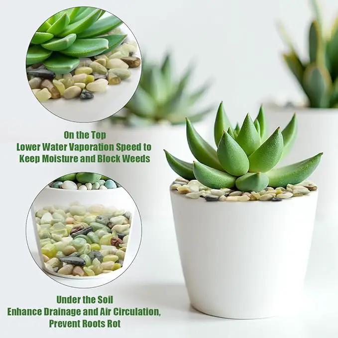 River Rocks 5 Lbs, 3/8 Inch Jade Pea Gravel, Rocks for Plants Indoor, Stones for Garden Landscaping, Vase Filler, Smooth Gravel Filler for Succulents, Cactus, Fish Tank and Vases by GreenHaven Gardens