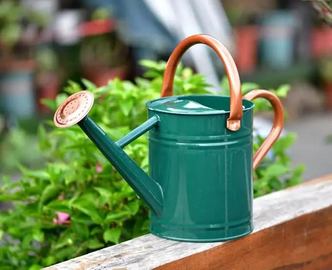 Steel Watering Can Sliver Galvanized Steel Watering Can with Copper Accents,Removable Rosette-Diffuser,One-Gallon Green by GreenHaven Gardens