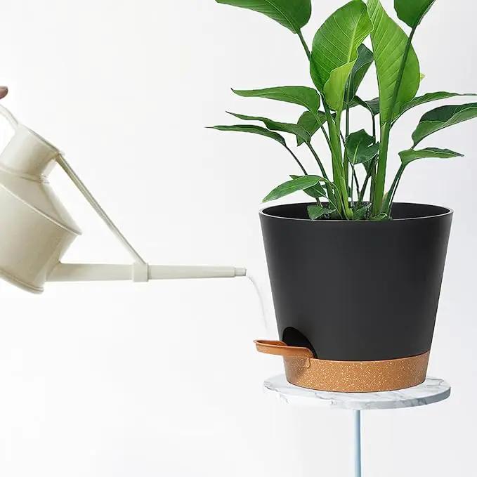 Plant Pots Self Watering Planters with Drainage Hole and Reservoir Large Flower Planting Pots for Indoor Outdoor Plants Plastic Succulent Pot Gift Idea 2 * 12Inch by GreenHaven Gardens
