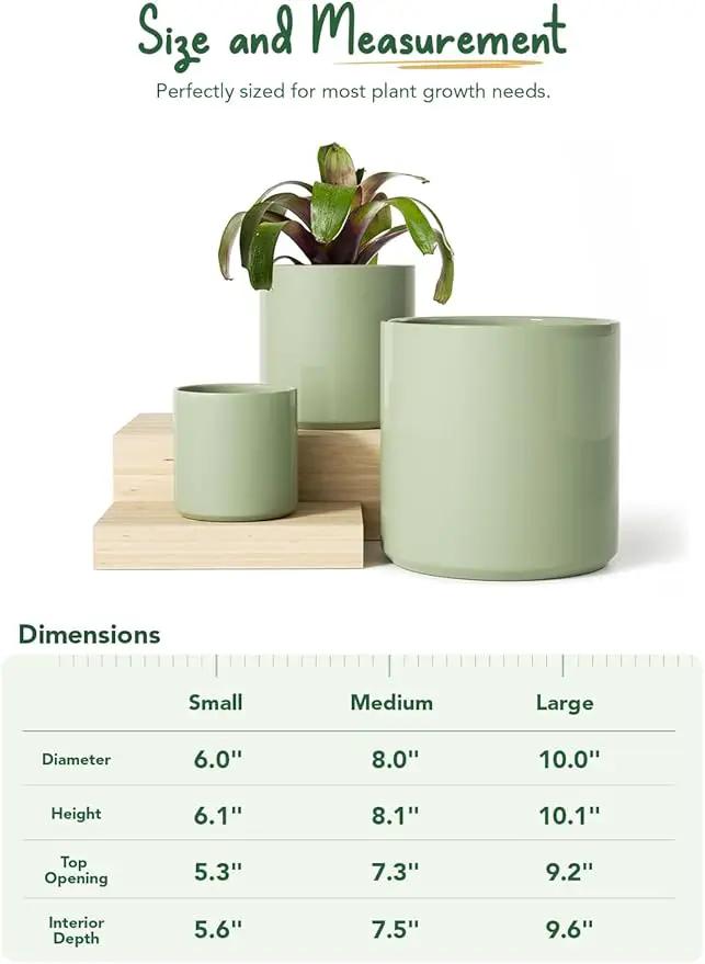 LE TAUCI Ceramic Plant Pots Indoor, 10+8+6 Inch Planters for Indoor Plants, Mid-Century Modern Pots with Drainage Hole and Plug, Cylinder Round Planters, Set of 3, Sage Green by GreenHaven Gardens