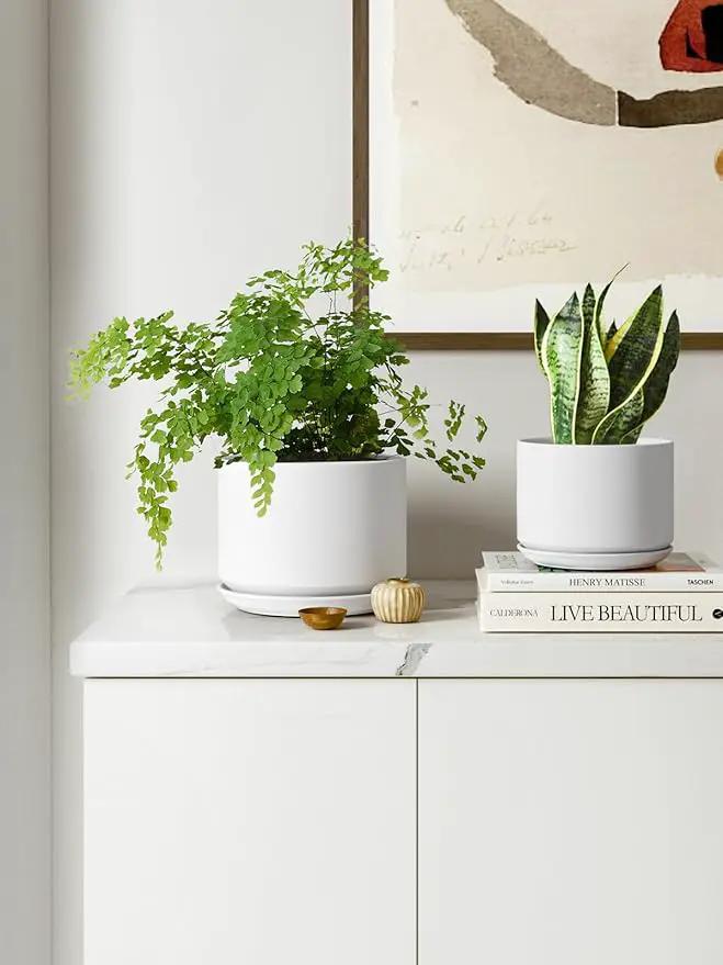 LE TAUCI Plant Pots Indoor, 4.3+5.3+6.8 Inch, Set of 3, Ceramic Planters with Drainage Hole and Saucer, Modern Indoor Flower Pot with Hole Mesh Pad, Gifts for Mom, Classic White by GreenHaven Gardens