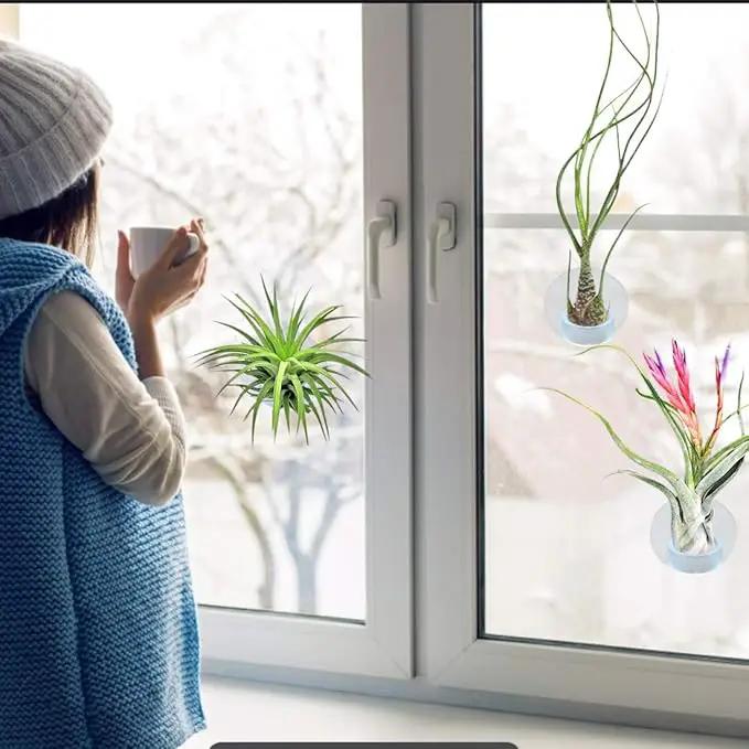 40 Pack Air Plant Stand Holder Tillandsia Airplant Container with Suction Cup Tabletop Planter Display Racks for Hanging Tillandsia House Plants by GreenHaven Gardens