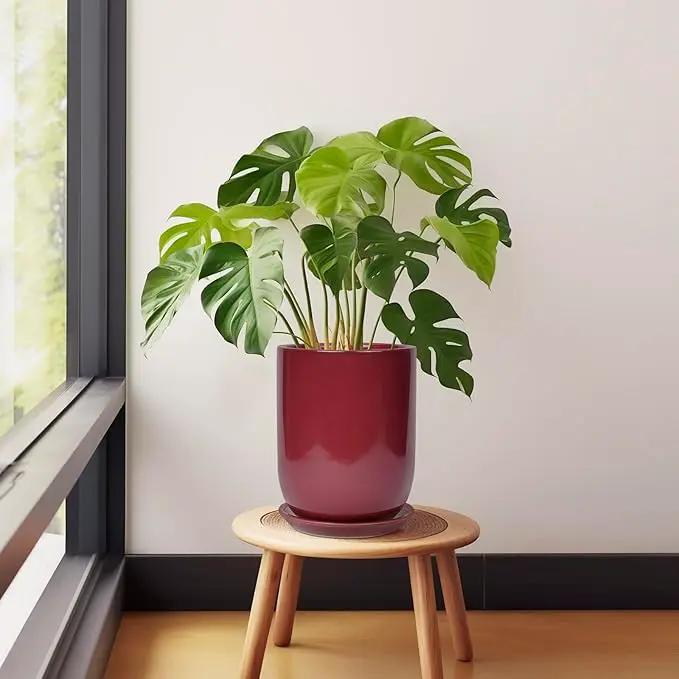 Ceramic Pot for Plants - 8 Inch Plant Pot Indoor with Drainage Hole and Saucer Cylinder Flower Pot for Indoor Outdoor Plants Home Patio Office Decor Red by GreenHaven Gardens