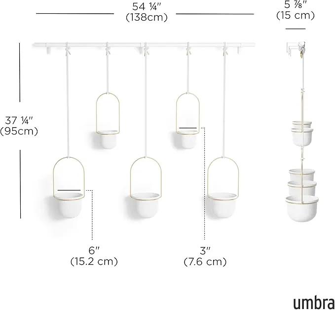 Umbra Triflora Hanging Planter for Window, Indoor Herb Garden, Set of 5, White/Brass by GreenHaven Gardens