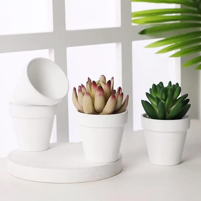 Yishang 72 pcs Small Mini White Clay Pots, 2.5'' Terracotta Pot Clay Ceramic Pottery Planter,Cactus Flower Terra Cotta Pots,Succulents Nursery Pots,with Drainage Hole,Great for Crafts,Wedding Favor by GreenHaven Gardens