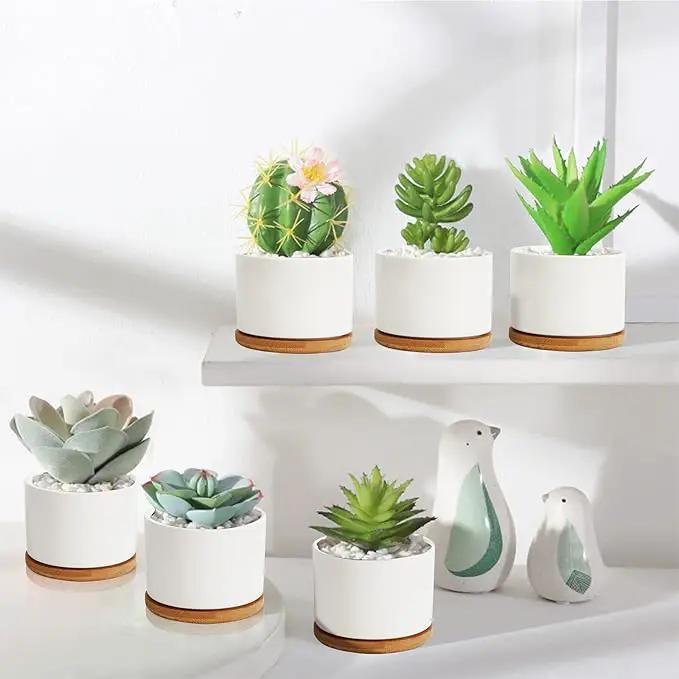 ZOUTOG Plant Pot 4 Inch, Ceramic Succulent Pots with Drainage Hole & Bamboo Tray, Pack of 6 White Small Flower Pots for Home, Office, Indoor or Outdoor Decor - Plants Not Included by GreenHaven Gardens