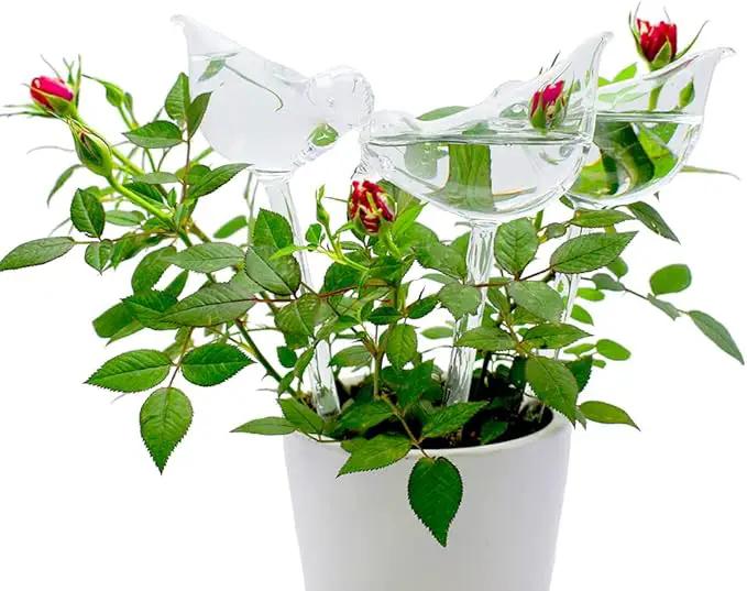 Glass Plant Watering Globes, Self Watering Globes Bird Shape, Self Watering Planter Insert, Plant Watering Devices, Automatic Plant Waterer Indoor, Watering Bulbs, 3 Pack by GreenHaven Gardens