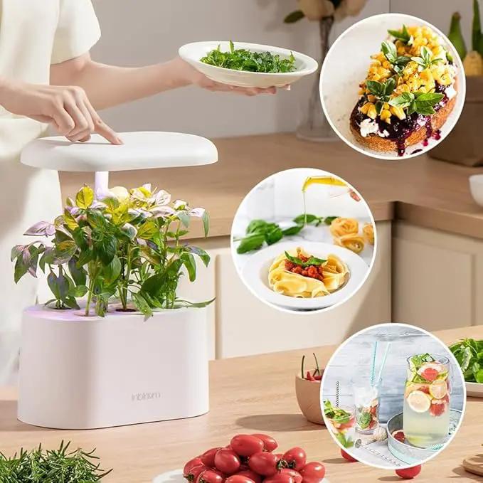 inbloom Asian Herb Seed Pod Kit for AeroGarden, iDoo, Ahopegarden, 7 Pods with 350+ Seeds (Basil, Parsley, Cilantro, Chrysanthemum, Pak Choi, Crystalline Ice Plant, Onion) Hydroponics Growing System by GreenHaven Gardens