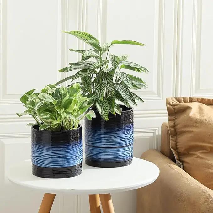 Nihow Ceramic Plant Pot: 6 Inch Planter with Drainage Hole & Saucer for Indoor & Outdoor Plants - Cylinder Round Flower Pot for Succulent/Herbs/Violets - Black & Vivid Blue by GreenHaven Gardens