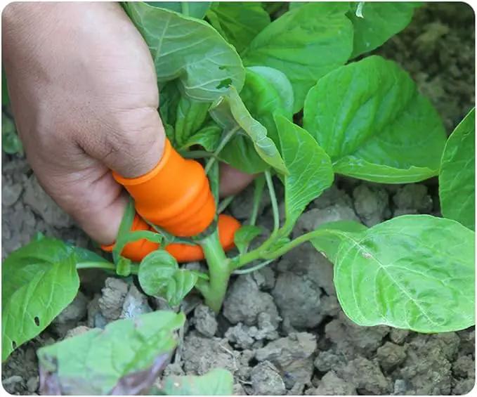 Fruit and Vegetable Picking Potted Plants Trim Silicone Thumb Knife Set Picking Portable Knife Garden Tools (1) by GreenHaven Gardens