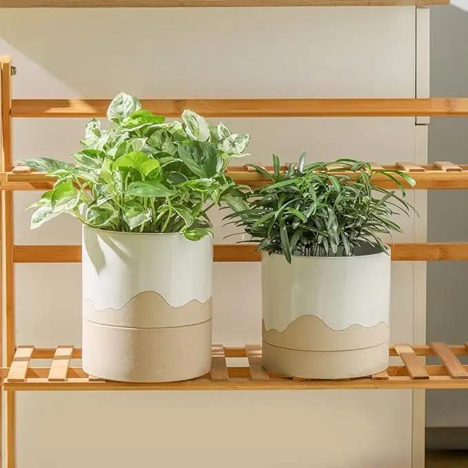 Nihow Ceramic Plant Pot: 6 Inch Planter with Drainage Hole & Saucer for Indoor & Outdoor Plants - Cylinder Round Flower Pot for Succulent/Herbs/Violets - White & Nature by GreenHaven Gardens