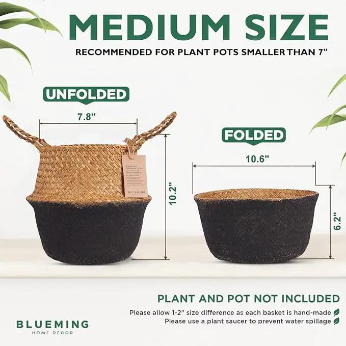 Plant Basket – Small Seagrass Planter Pot for Olive Trees, Woven Wicker Planter 8-9 Inches for Indoor Tall Artificial Plants (Black Bottom, Medium) by GreenHaven Gardens