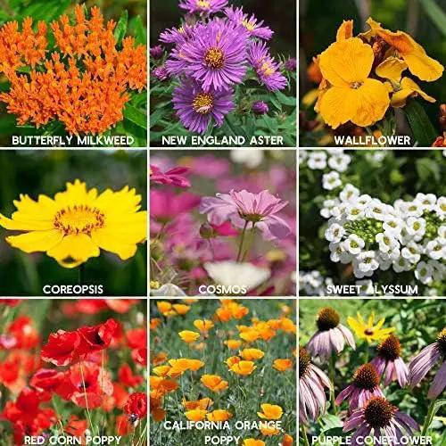 Save the Bees Wildflower Seed Shaker - ~100,000+ Wild Flower Seeds for Planting - Beautiful Easy to Sow Seed Shaker - 19 Varieties to Attract Bees & Other Pollinators - 3 oz. of Seed Covers ~370 sq ft by GreenHaven Gardens