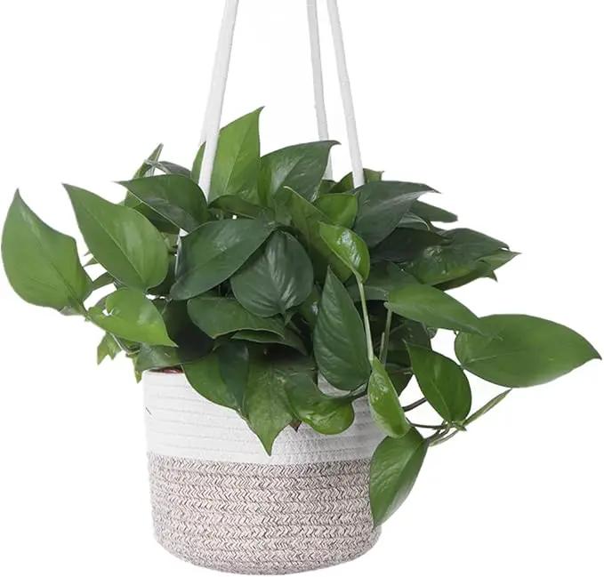 Hanging Planter Basket Jute Rope Woven Plant Hangers Indoor Hanging Plant Holder Up to 7" Pot Macrame Modern Storage Organizer Home Decor (White & Brown) by GreenHaven Gardens