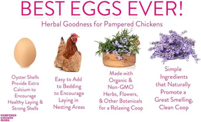 Pampered Chicken Mama Best Eggs Ever! Nesting Herbs for Chickens (4 Pounds) for Chicken Nesting Boxes Calcium Supplement for Chickens | Chicken Feed Supplies, Hen Treats for Coops (4 Bags) by GreenHaven Gardens