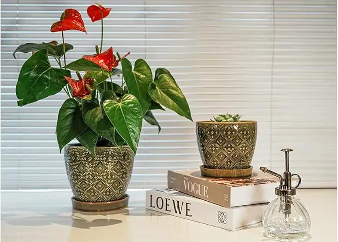 Docrin Ceramic Plant Pots Indoor: 6.6 + 5.5 Inch Planters with Drainage Holes and Saucer for Home/Office - Set of 2 /Dark Green by GreenHaven Gardens