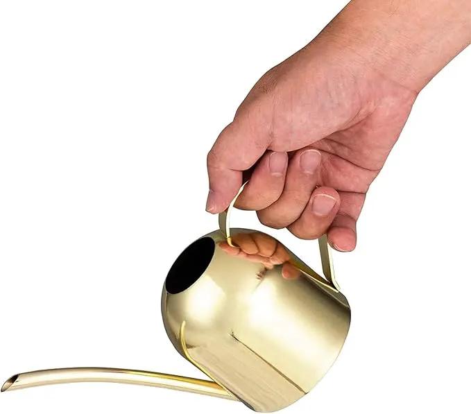 IMEEA Gold Watering Can for Indoor Plants, Orchid, Bonsai - Stainless Steel With Long Spout for House, Desk, Office - 15oz/450ml by GreenHaven Gardens