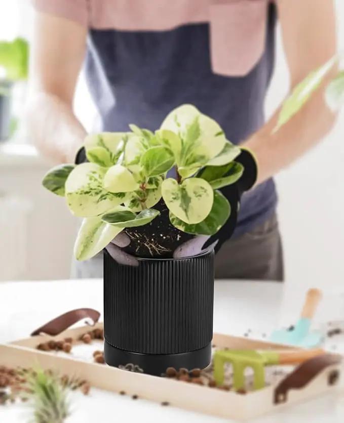 LaDoVita 3 Pack Ceramic Plant Pots 6/5/4 inch, Flowerpot for Indoor Plants with Drainage Holes and Tray, Outdoor Garden Planters, Modern Decorative for Home, Black Vertical Stripes by GreenHaven Gardens