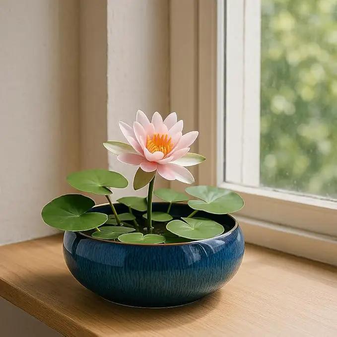Lotus Bowl Planter, Lotus Bowls for Planting in Water Indoors,6.5-inch Round Succulent Flower Pot with Rotating Bracket, Leak-Proof Design, Suitable for hydroponic Plants, Succulents (Blue) by GreenHaven Gardens