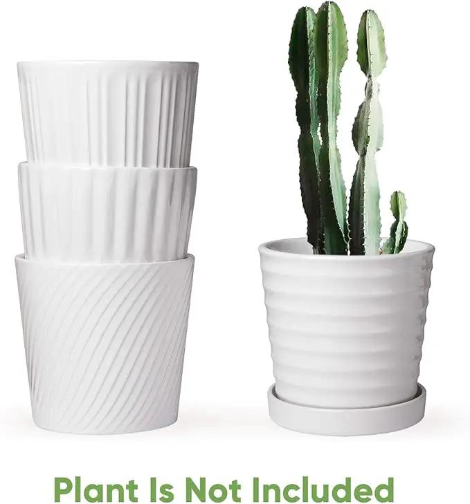 Brajttt Flower Pots,6 Inch Succulent Pots with Drinage,Indoor Round Planter Pots with Saucer,White Cactus Planters with Hole,Outdoor Graden Pots 4 Pack by GreenHaven Gardens