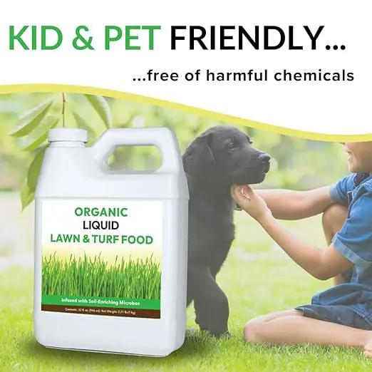 Organic Liquid Lawn & Turf Food - Quickly Rejuvenates Lawn Health and Restores Rich Green Colors to Depleted Grass | Infused with Soil Enriching Microbes (32oz - 2 Pack, Treats Up to 10,000 Sq. Feet) by GreenHaven Gardens