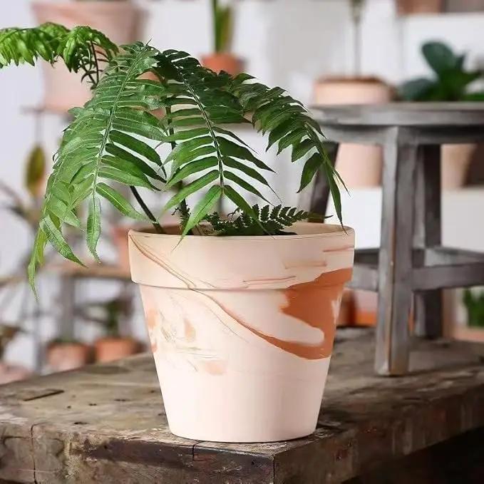 Random Mood Macchiato Terracotta Plant Pots – Handmade 6-Inch Clay Ceramic Flower Pots with Drainage Holes, Set of 3 – Ideal for Indoor & Outdoor Orchids by GreenHaven Gardens