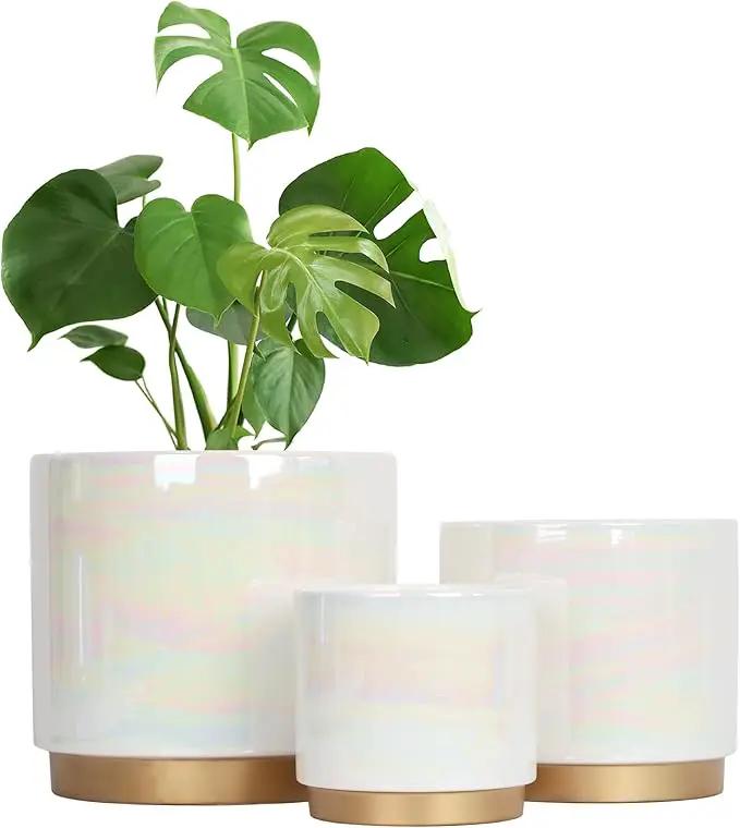Gepege White Indoor Pots for Plants, Ceramic Planter with Drainage Hole, 9.6inch+7.6Inch+6Inch. Succulent Orchid Flower Pot - Rainbow Pearl Glaze by GreenHaven Gardens