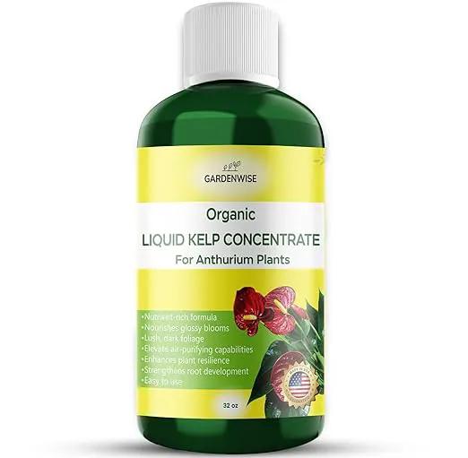 Organic Premium Seaweed Anthurium Fertilizer - Liquid Kelp Plant Food - Nutrient-Rich Soil Enhancer (32 OZ) by GreenHaven Gardens