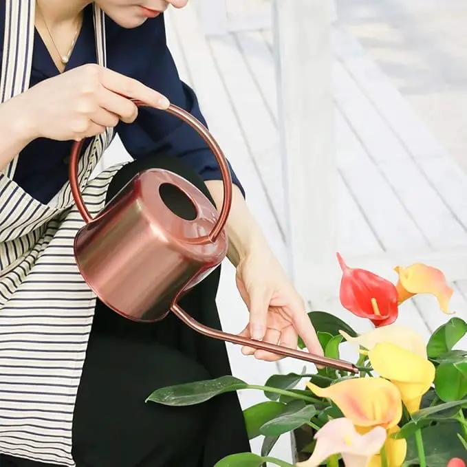 Remiawy Watering Can Indoor Outdoor Stainless Steel Watering Cans for House Plants Long Spout Water Can for Succulent Bonsai Garden Flower(40oz/1300ml) by GreenHaven Gardens