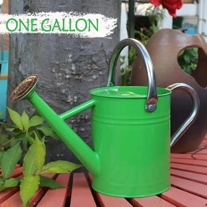 Metal Watering Can, One Gallon Watering Cans Stainless Steel for Outdoor Indoor Garden Plants Watering (Stainless Steel Handle Green) by GreenHaven Gardens