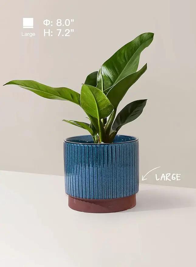 LE TAUCI Ceramic Pots for Plants, 8+6.7+5.5 Inch Plant Pots Indoor, Flower Pot with Drainage Holes, Medium Cylinder Planters for Indoor House Plants, Set of 3, Blue by GreenHaven Gardens