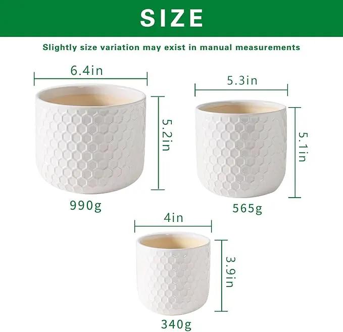 Docrin Plant Pots Indoor with Drainage: 6.4+5.3+4 Inch Ceramic Flower Pots for Plants - Set of 3 Modern Decorative Planters for House/Office/Gift - White Honeycomb by GreenHaven Gardens
