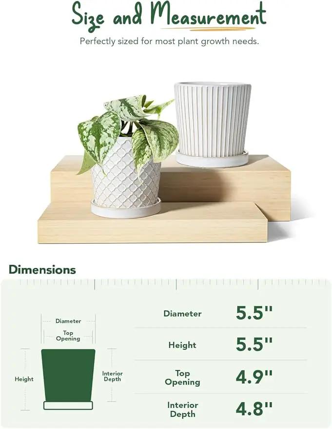 LE TAUCI Ceramic Pots for Plants, 5.4 Inch Plant Pots with Drainage Hole and Saucer, Indoor Plant Pots for Succulent, Snake Plants and Cactus, Flower Pots, Set of 2, Reactive Glaze White by GreenHaven Gardens