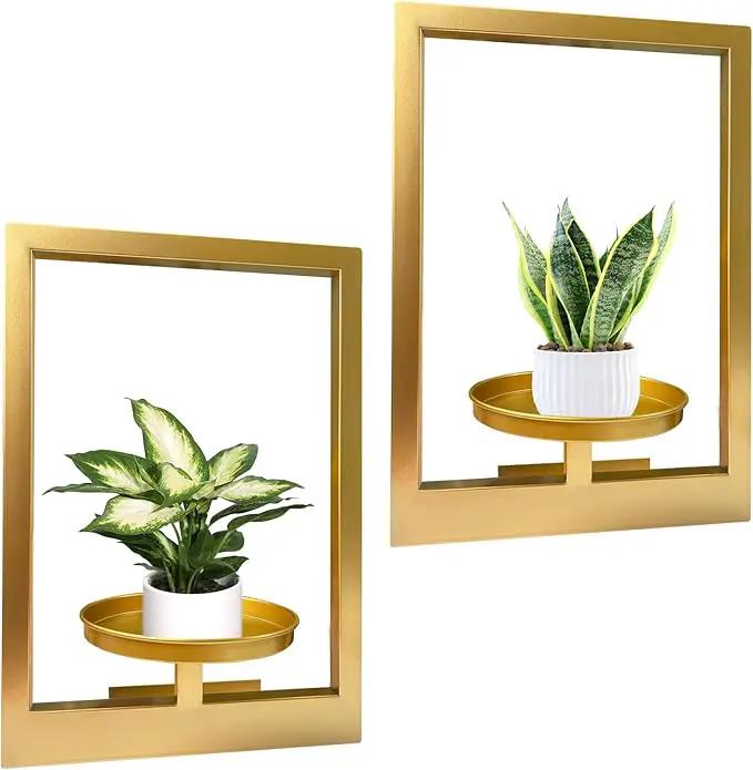Picture Frame Plant Holder, Window Planter Hanger Shelves,Wall Mount Plants shelf Indoor Outdoor, Metal Hanging Planters Stand Decor,Modern Floating Ornament Rack Art for Home & Garden (Gold 2pc) by GreenHaven Gardens