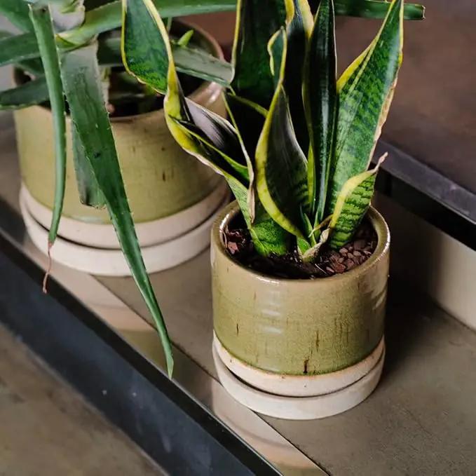 6 + 8 Inch Plant Pots, Ceramic Planter Pot with Drainage Hole & Saucer, Indoor/Outdoor Cylinder Round Planter Pot, Green by GreenHaven Gardens