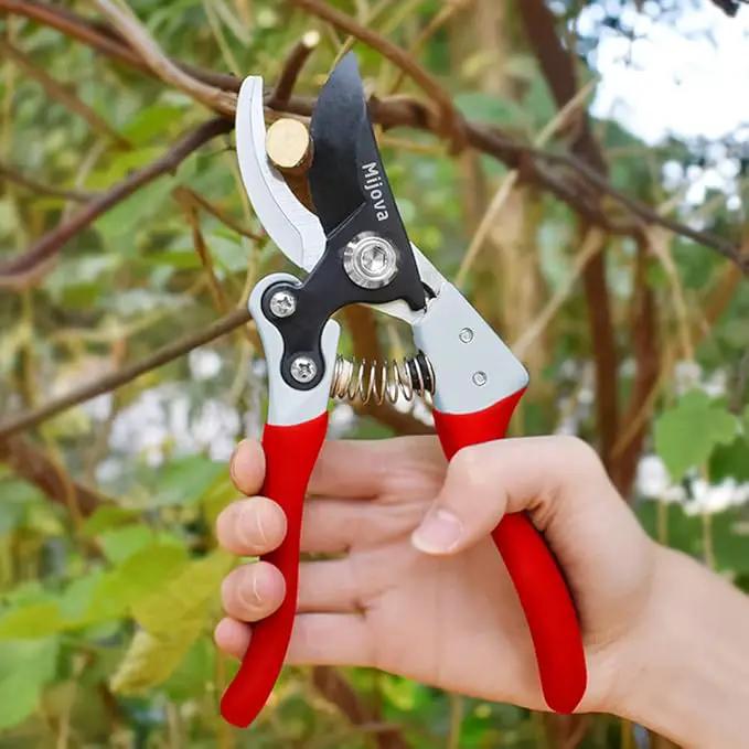 Garden Pruners, Heavy Duty Garden Clippers,Pruning Shears with Adjustable Thumb Lock,Hand Gardening Tools Pruners,Stainless Steel Sharp Gardening Scissors (MJ001) by GreenHaven Gardens
