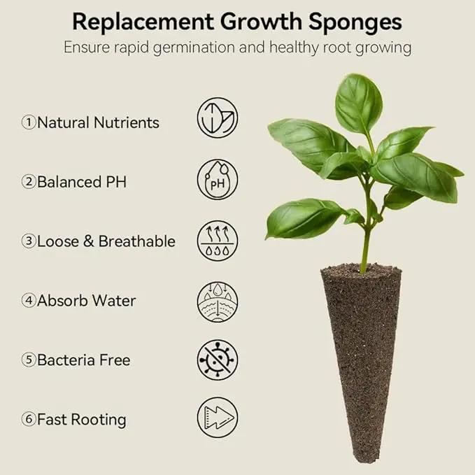 inbloom Asian Herb Seed Pod Kit for AeroGarden, iDoo, Ahopegarden, 7 Pods with 350+ Seeds (Basil, Parsley, Cilantro, Chrysanthemum, Pak Choi, Crystalline Ice Plant, Onion) Hydroponics Growing System by GreenHaven Gardens