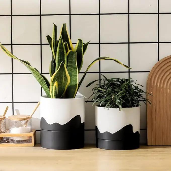 Nihow Self Watering Plant Pot: 6 Inch Ceramic Planter with Drainage Hole & Water Storage Plus for Indoor & Outdoor Plants - Cylinder Round Flower Pot for Succulent/Herbs/Violets - White & Wave Black by GreenHaven Gardens