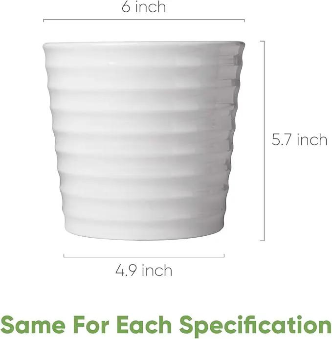 Brajttt Flower Pots,6 Inch Succulent Pots with Drinage,Indoor Round Planter Pots with Saucer,White Cactus Planters with Hole,Outdoor Graden Pots 4 Pack by GreenHaven Gardens