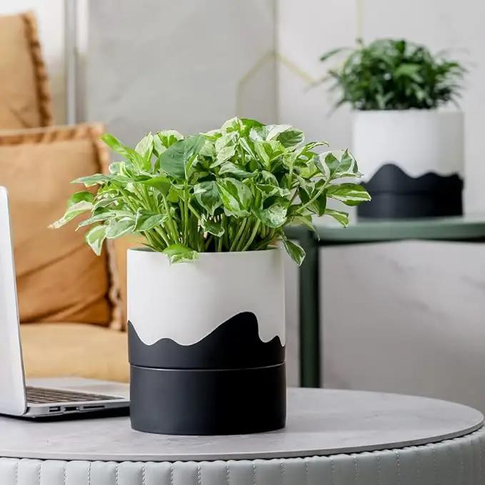 Nihow Self Watering Plant Pot: 6 Inch Ceramic Planter with Drainage Hole & Water Storage Plus for Indoor & Outdoor Plants - Cylinder Round Flower Pot for Succulent/Herbs/Violets - White & Wave Black by GreenHaven Gardens