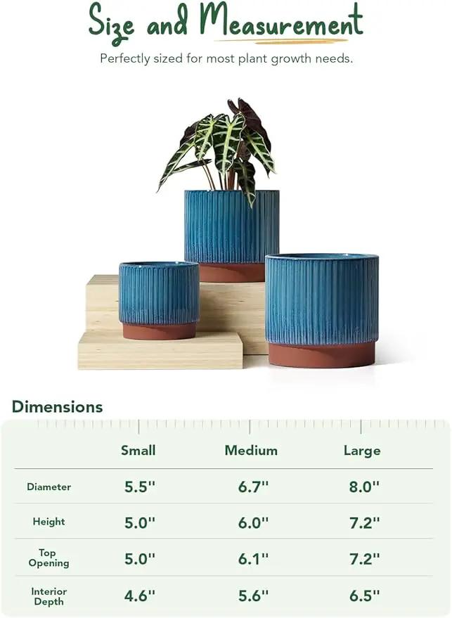 LE TAUCI Ceramic Pots for Plants, 8+6.7+5.5 Inch Plant Pots Indoor, Flower Pot with Drainage Holes, Medium Cylinder Planters for Indoor House Plants, Set of 3, Blue by GreenHaven Gardens