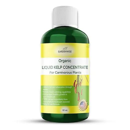 Organic Premium Kelp Seaweed Fertilizer: Indoor Plant Fertilizer & Carnivorous Plant Food for Venus Flytraps, Sundews, Drosera Capensis,Pitcher Plants,Butterworts & Other (32 OZ) by GreenHaven Gardens