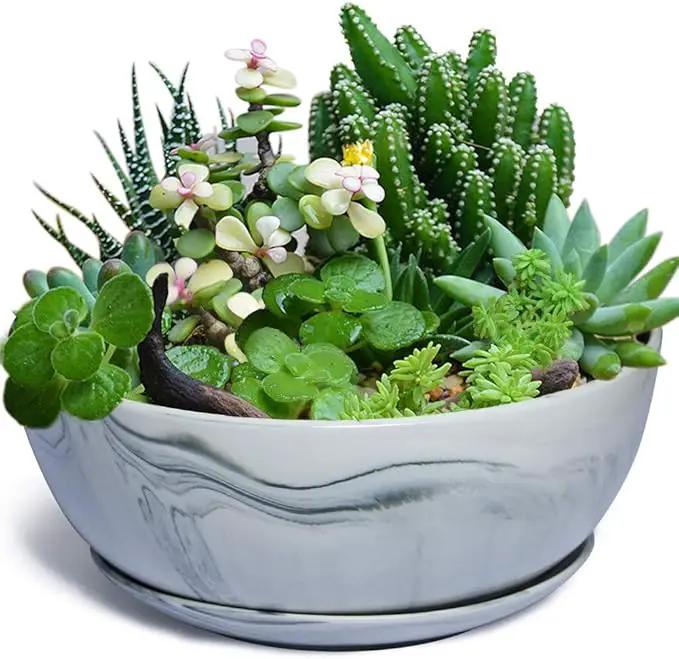 G EPGardening 10Inch Large Planter Pot Marble Pattern Ceramic Succulent Planter Big Plant Pot Succulents Container Flower Pot Indoor Outdoor Decor by GreenHaven Gardens